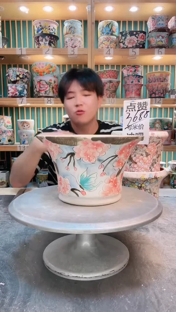 瓷片默认微瑕一物一拍0912-088