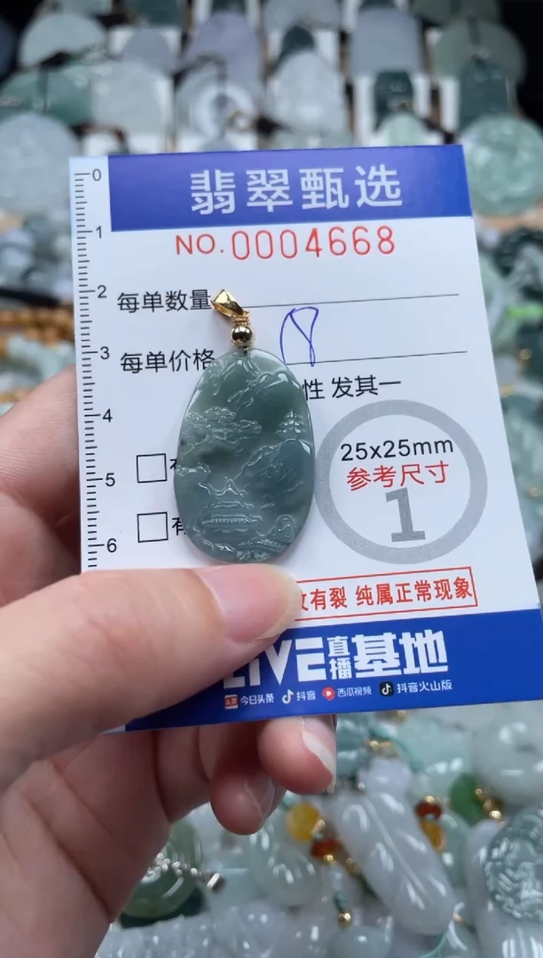 翡翠未镶嵌颈饰00..4668