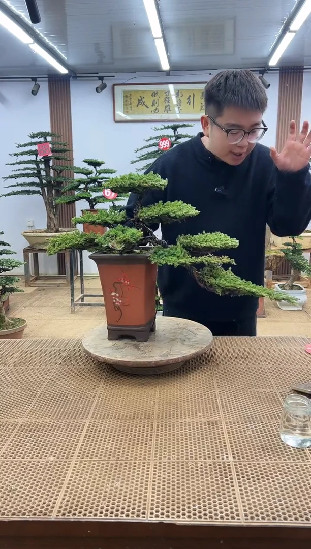 无花朵0000000000000000