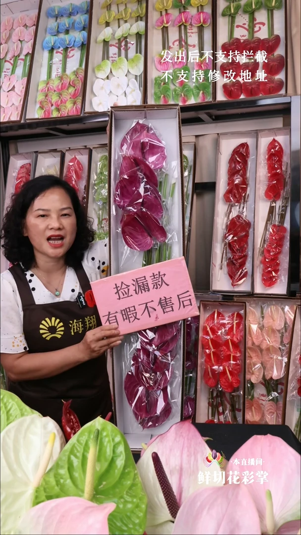 马拉维利亚 12支 有限无售后！