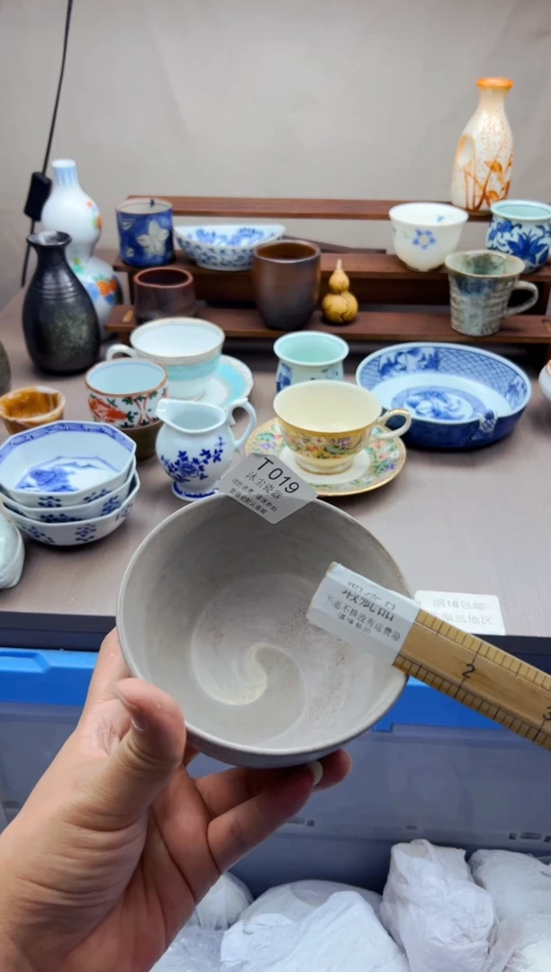 瓷片          T019