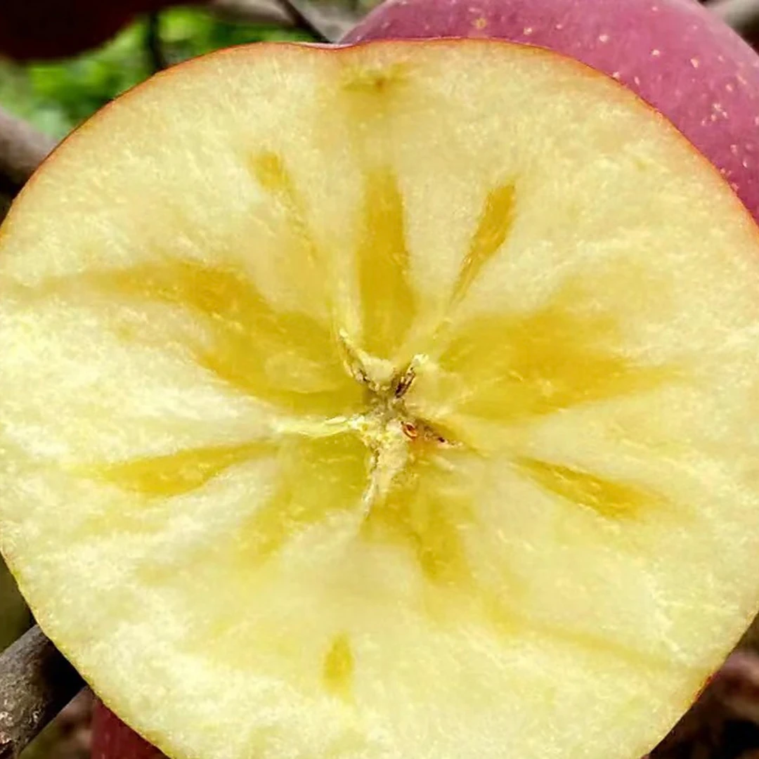 《阿杰专属》西藏冰山雪水灌溉唐心苹果原箱10斤包装西藏自治区