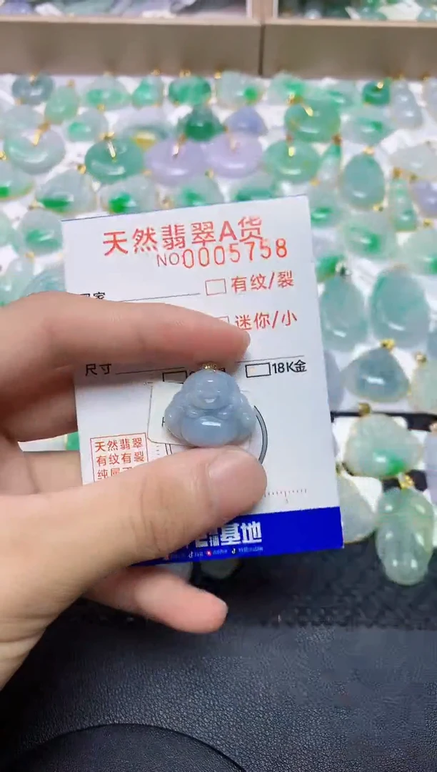 翡翠未镶嵌颈饰2131231231313