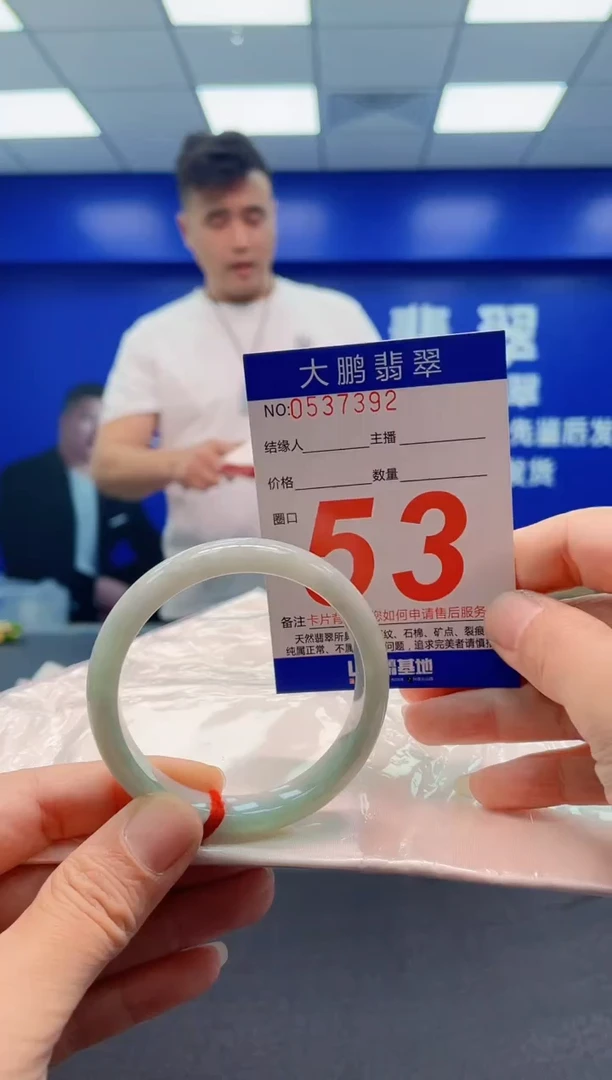 未镶嵌手镯翡翠AAAAAAAAA