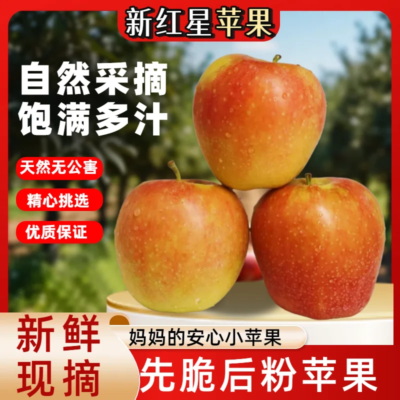 新红星当季采摘脆粉两吃脆甜多汁香甜解馋水果