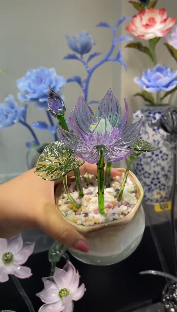 琉璃34荷花 福利款