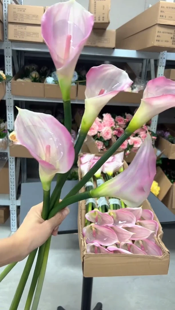 5枝粉色马蹄莲组
