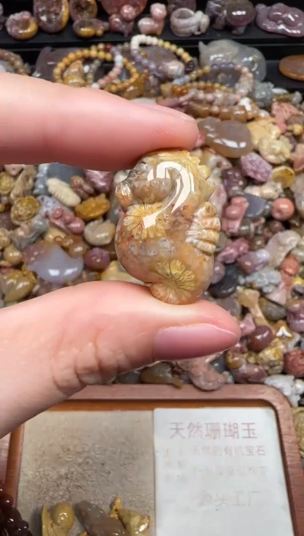 颈饰未镶嵌硅化珊瑚（珊瑚玉）135