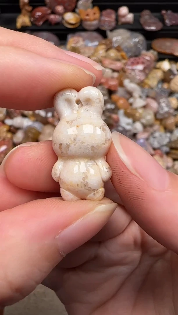 硅化珊瑚（珊瑚玉）未镶嵌颈饰663