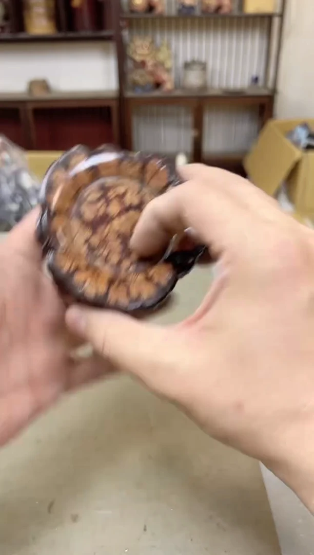 瓷片2205 聚宝缘甄选店