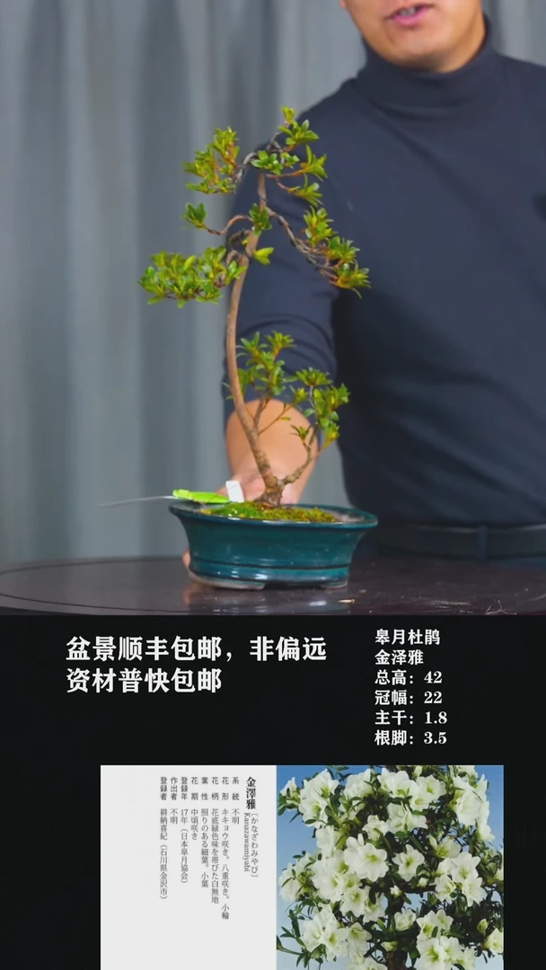 【闪购商品】-金泽雅-X76