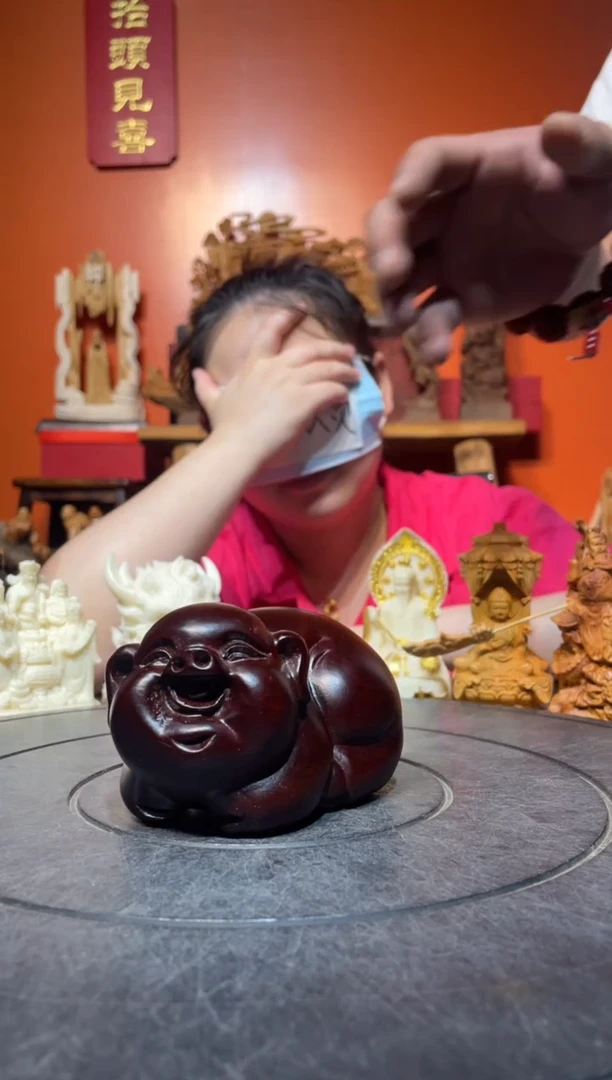 风车木（黑檀木）其他（直播推荐）   福猪一只