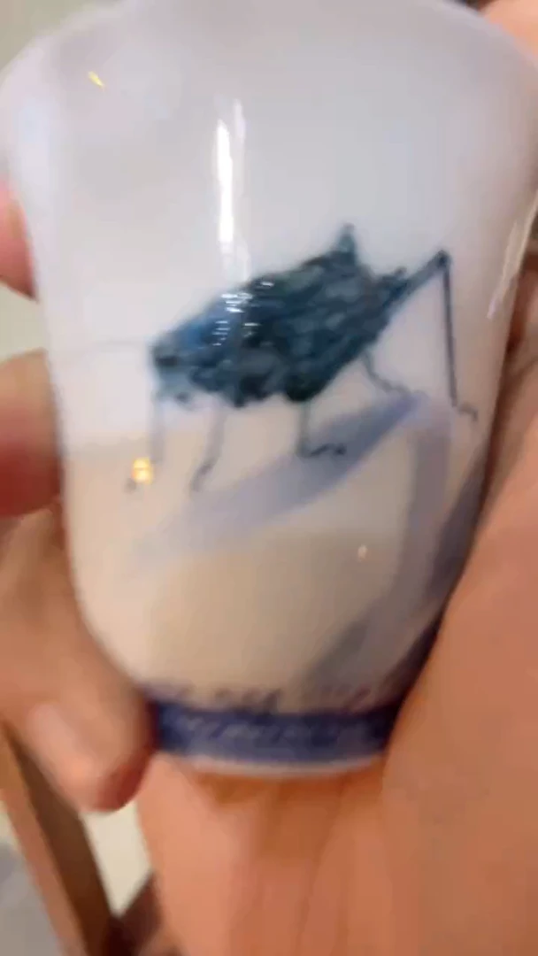 瓷片Y561家庭日用瓷器摆件