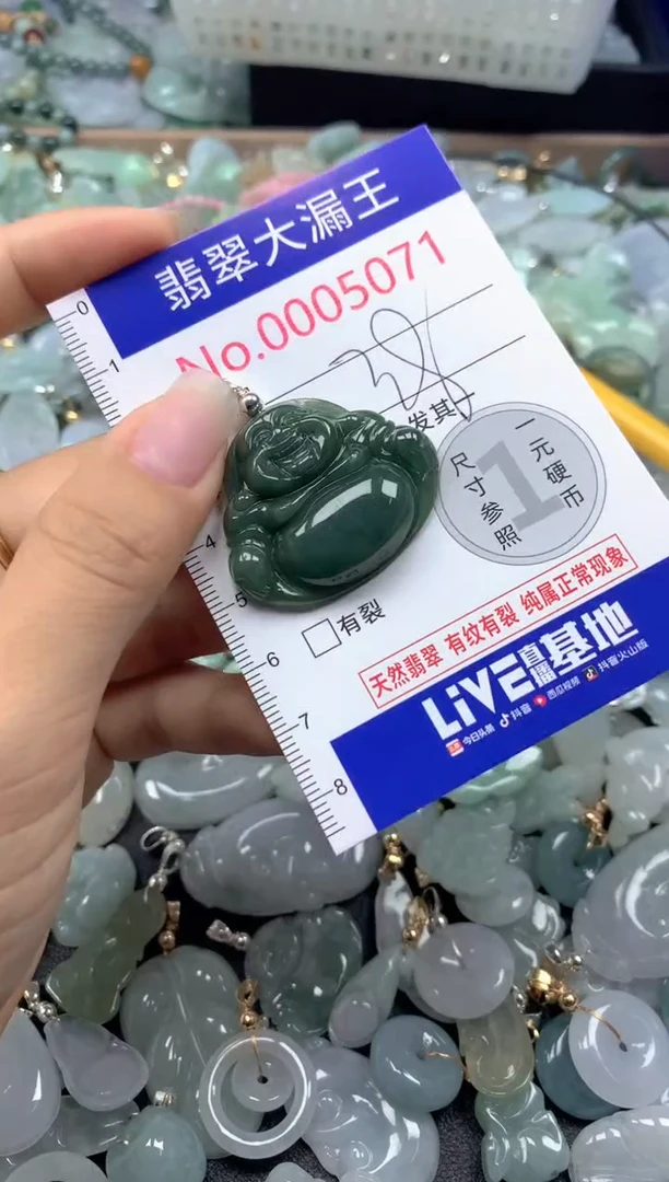颈饰未镶嵌翡翠5071