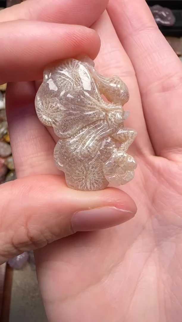 颈饰未镶嵌硅化珊瑚（珊瑚玉）823