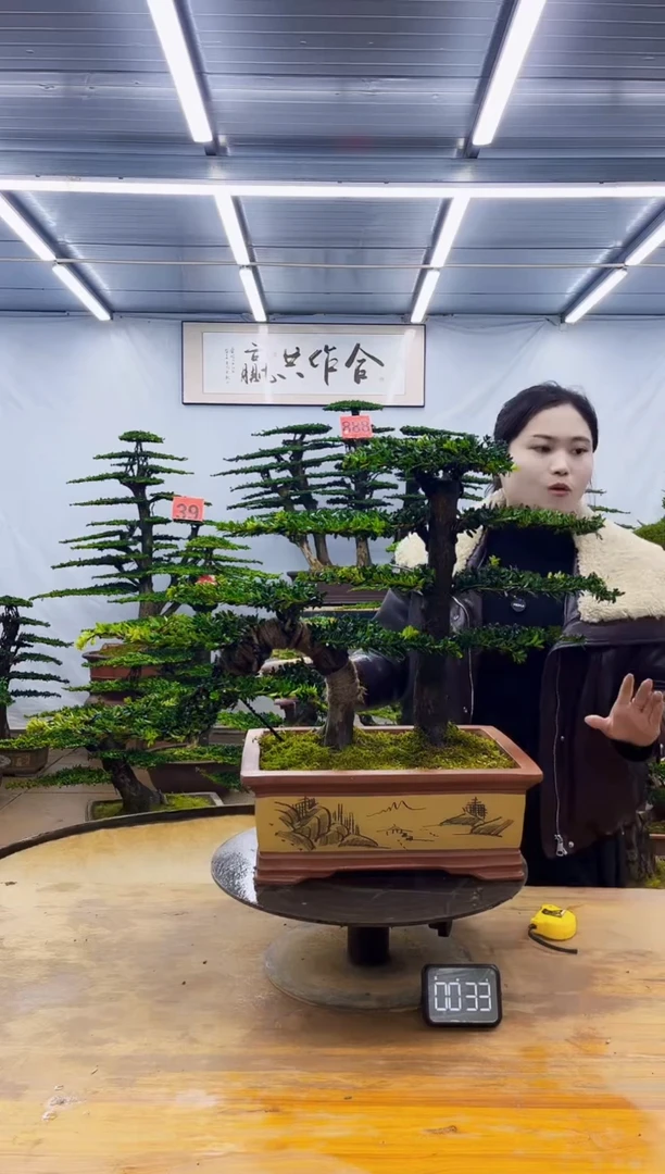 无花朵一物一拍，所见即所得