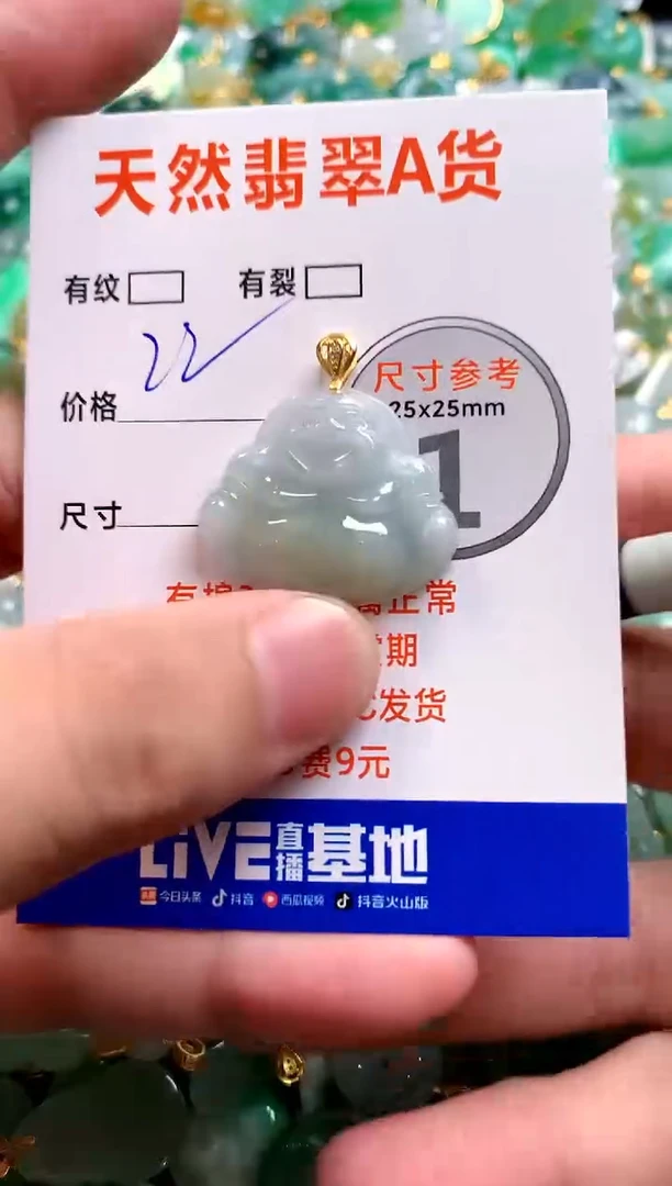 颈饰未镶嵌翡翠13007068