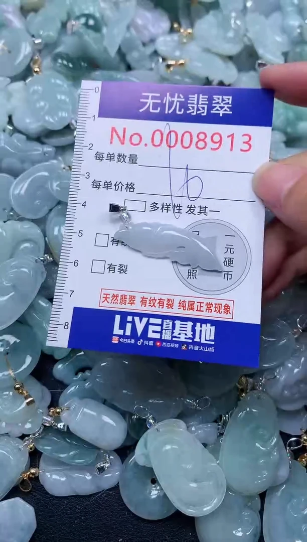 颈饰未镶嵌翡翠8913