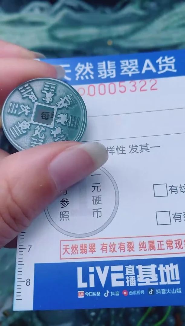 颈饰未镶嵌翡翠00005322