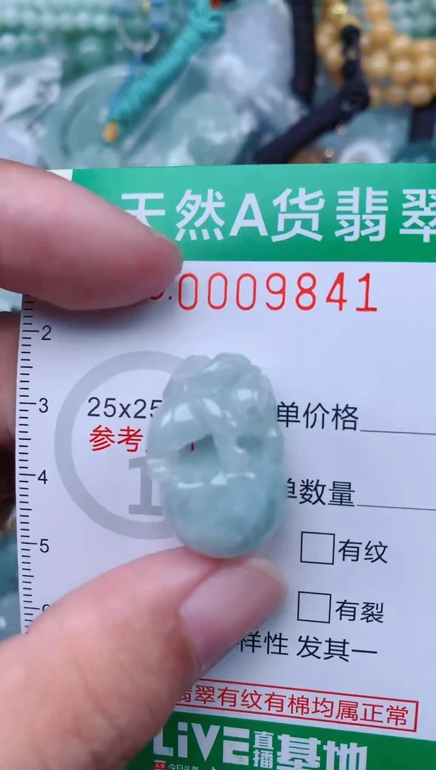 翡翠未镶嵌颈饰.0009841