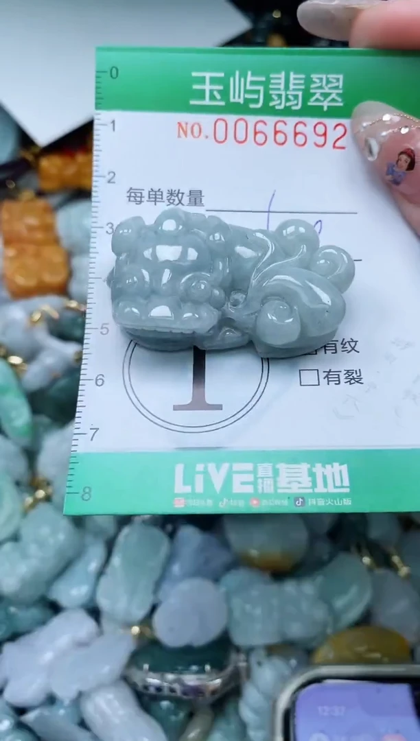 【闪购商品】翡翠颈饰未镶嵌闪购0066692