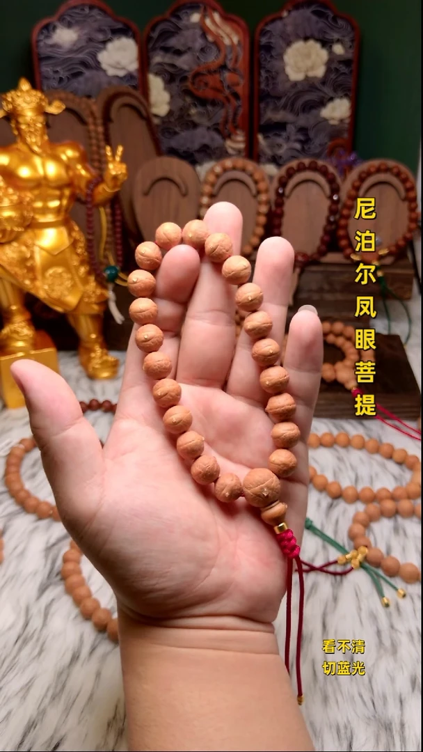 手串凤眼菩提新籽12+