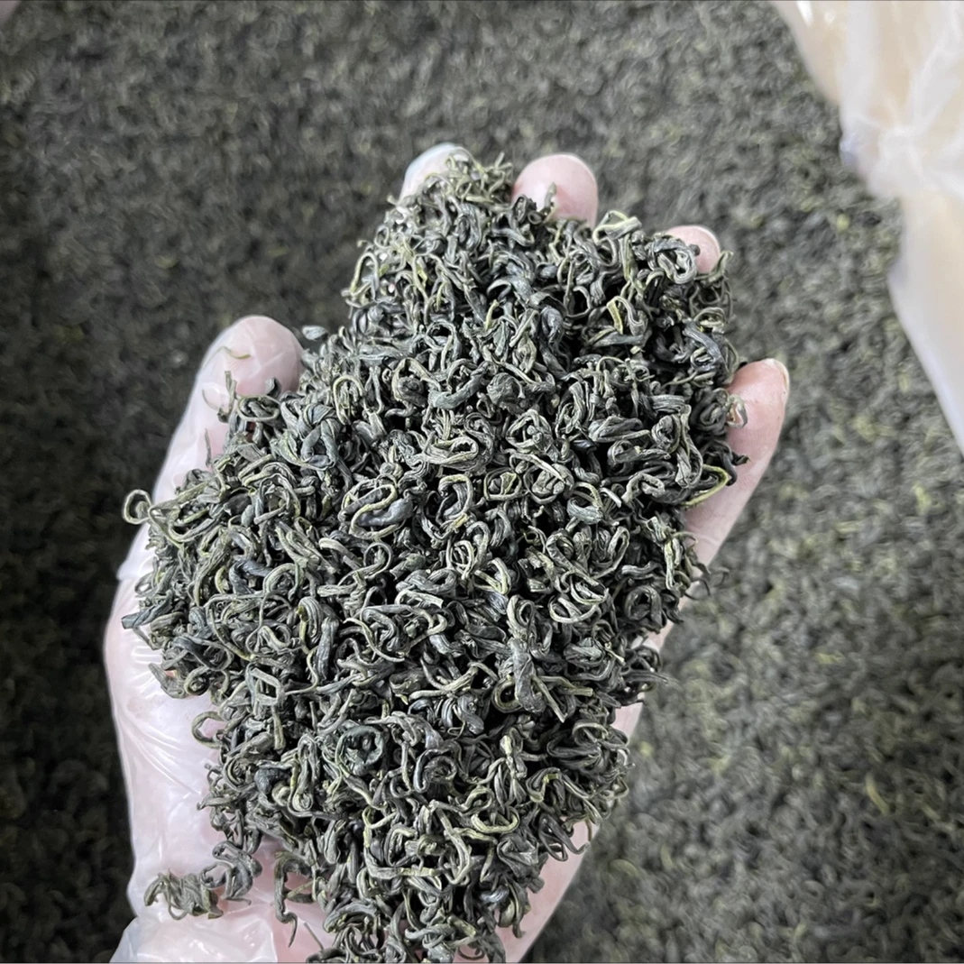 4斤2025新茶高山绿茶松阳香茶浓香耐泡传统工艺手工制作好喝不贵