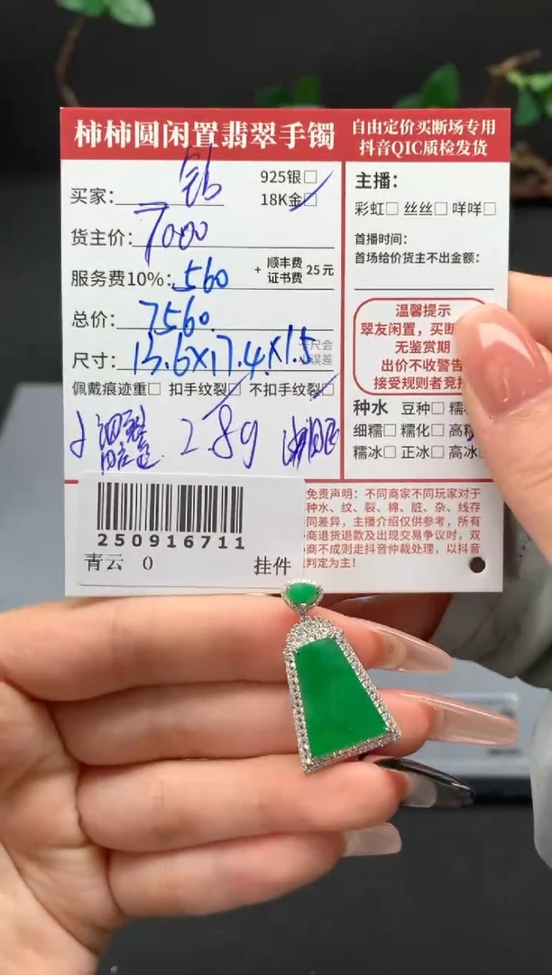 颈饰18K金镶嵌翡翠姐姐250916711