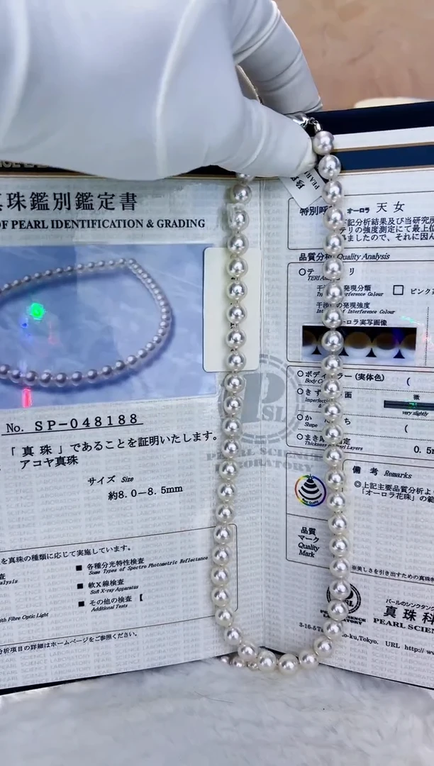 未镶嵌海水珍珠akoya项链6-6.5mm（带rosep证书）