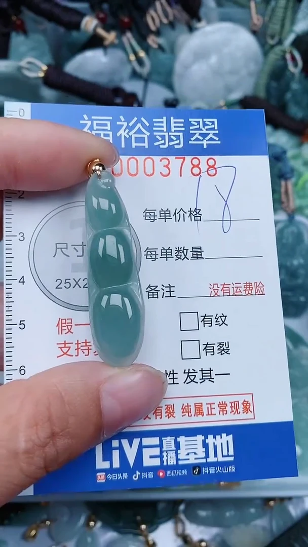 【闪购商品】翡翠颈饰未镶嵌...0003788