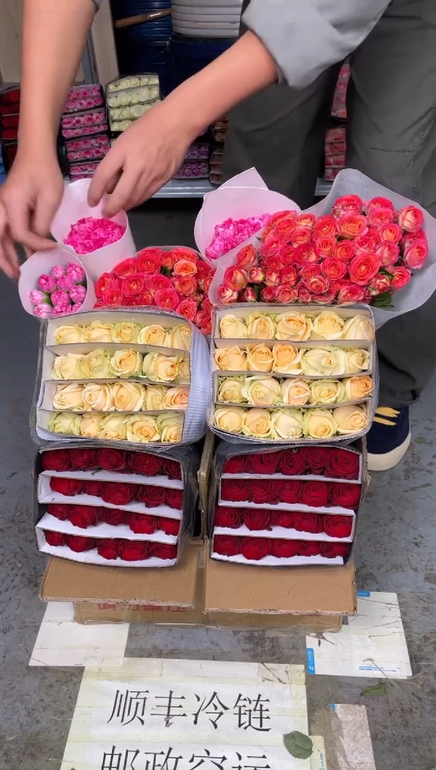 高原红20枝+香槟20枝+爱丽丝10枝+小桃花康20枝