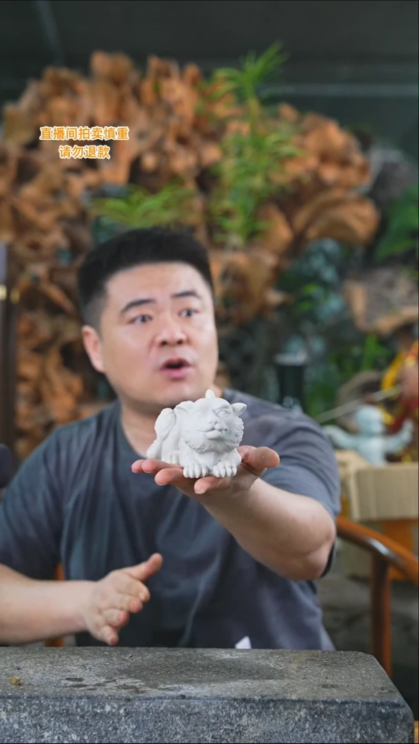 完全开放石头虎魁