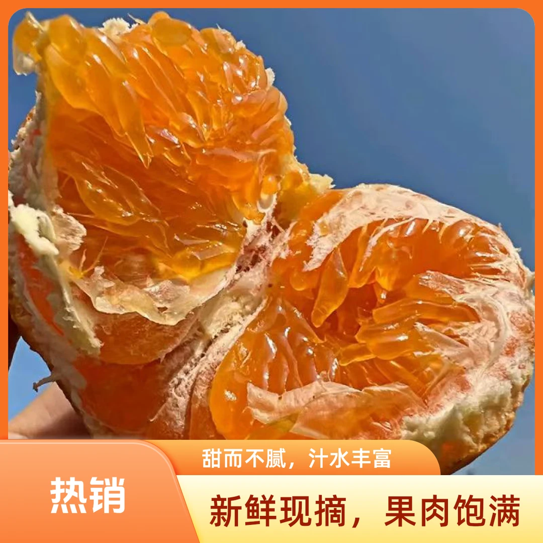 柑橘皇后云南明日见柑橘阿斯密果肉细嫩画渣新鲜应季果农自种现摘