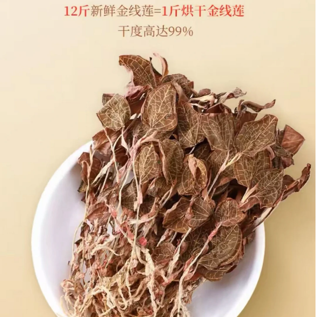 林下种植红霞金线莲福建南靖原产地特色可种植可泡水可炖汤