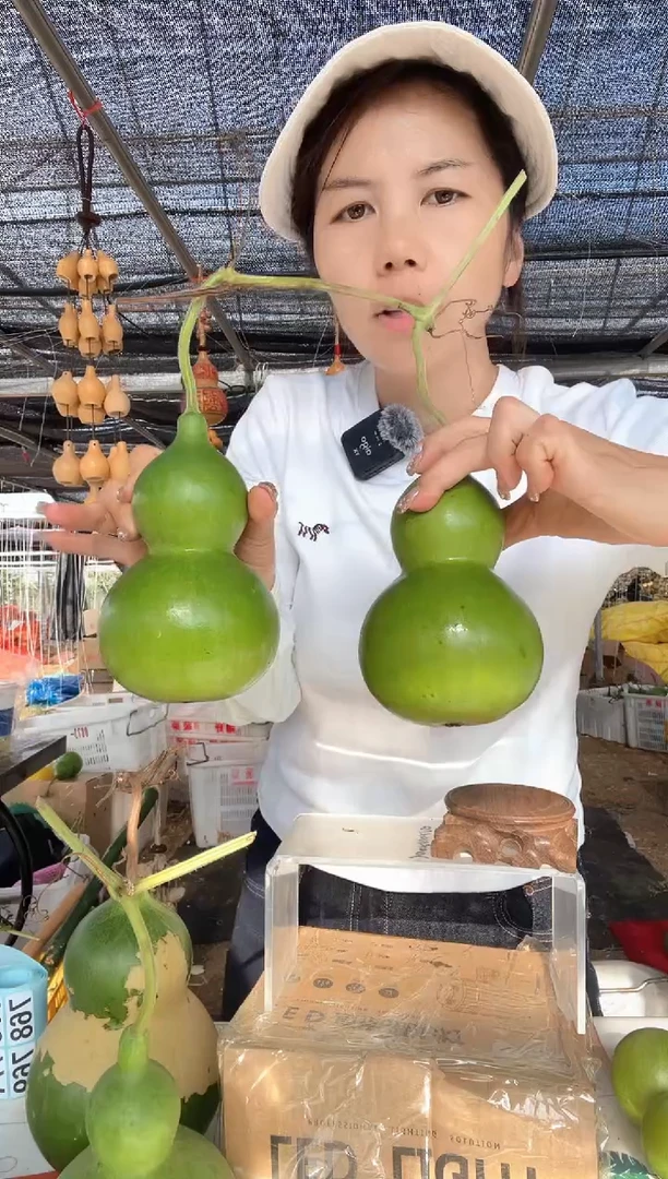 767天然葫芦摆件 一物一拍龙头不保售后