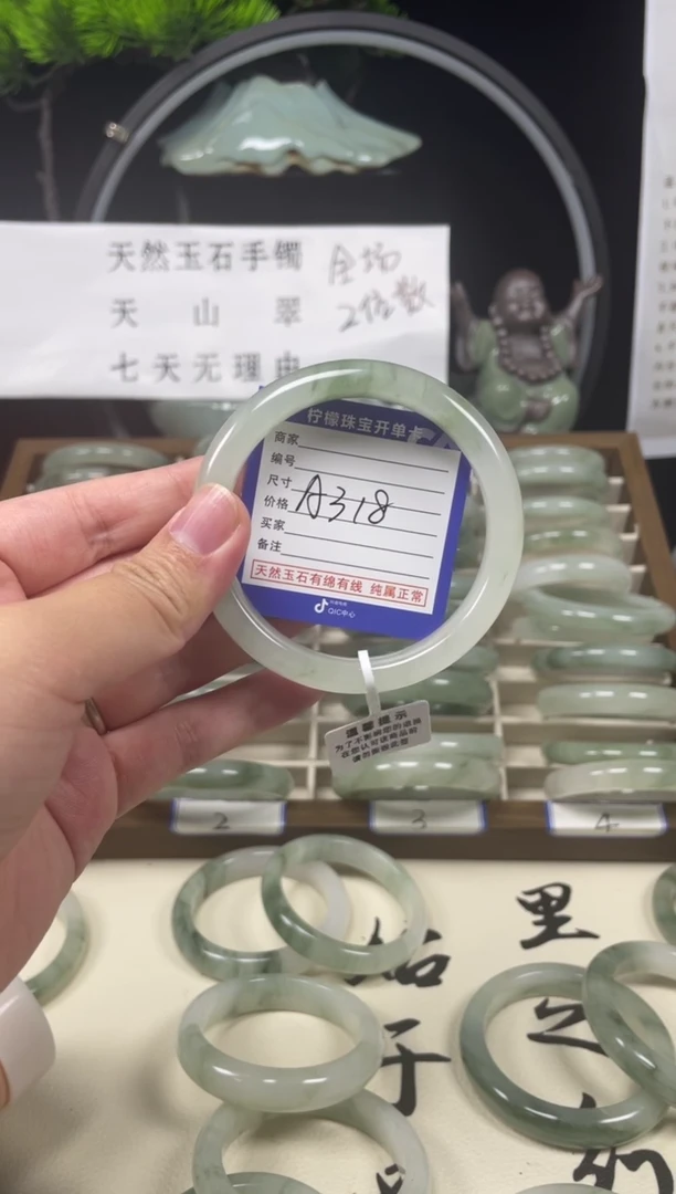 石英质玉（天山翠）手镯未镶嵌A318