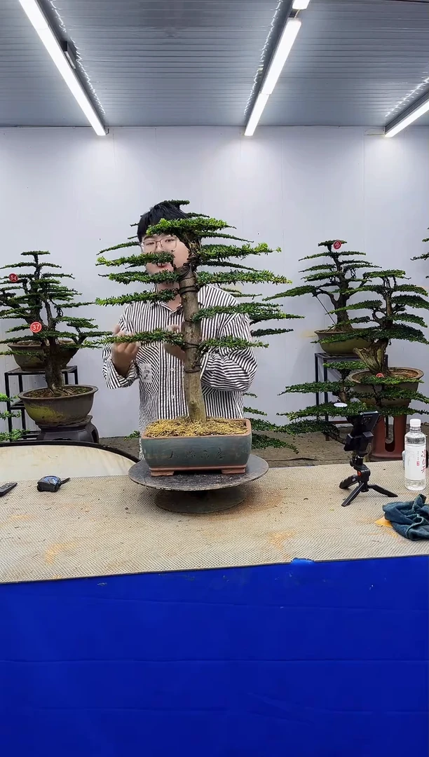 无花朵一物一拍，所见即所得