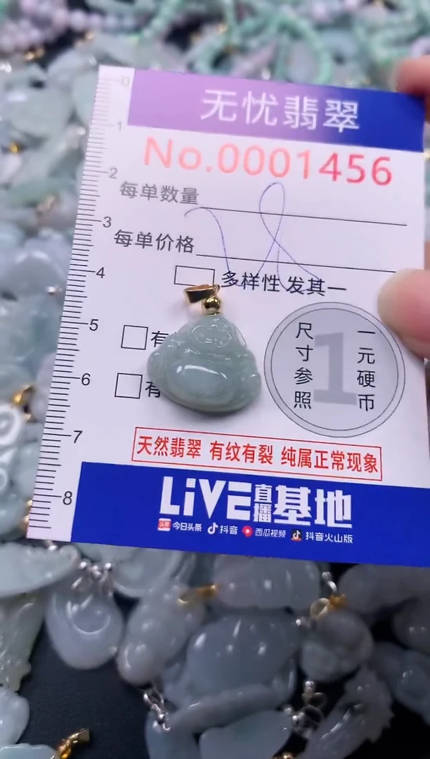 颈饰未镶嵌翡翠1456