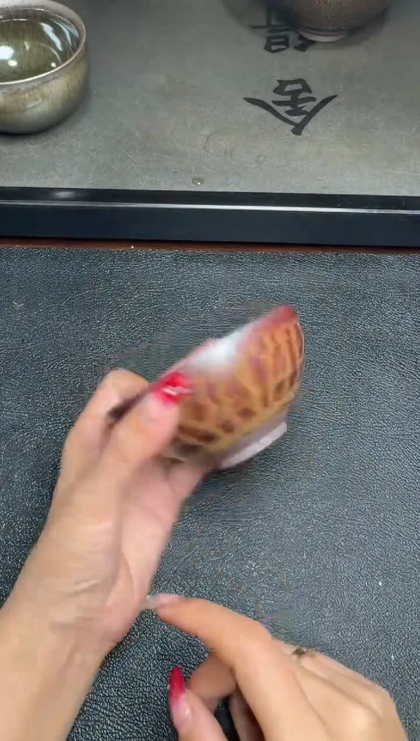 【闪购商品】茶盏严柳忠柴烧盏149