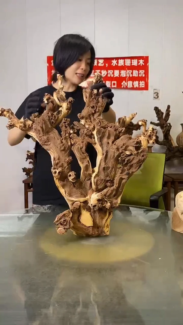 香榧木木**川金丝红木   羊蹄甲