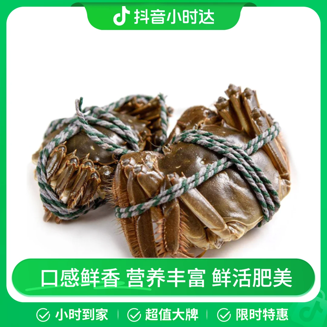 鲜活特大闸蟹 2只母蟹（110-125g/只）+2只公蟹（1