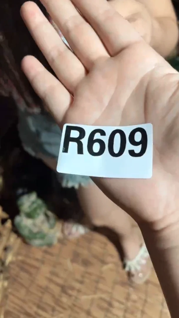家用室内熏香炉闪购链接R609