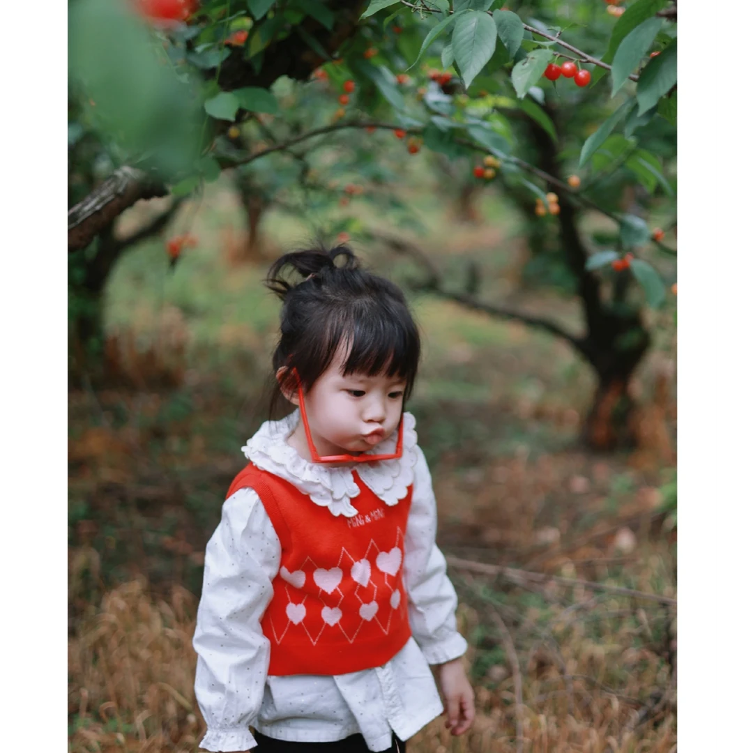 【1288】毛背心F4ECB1288