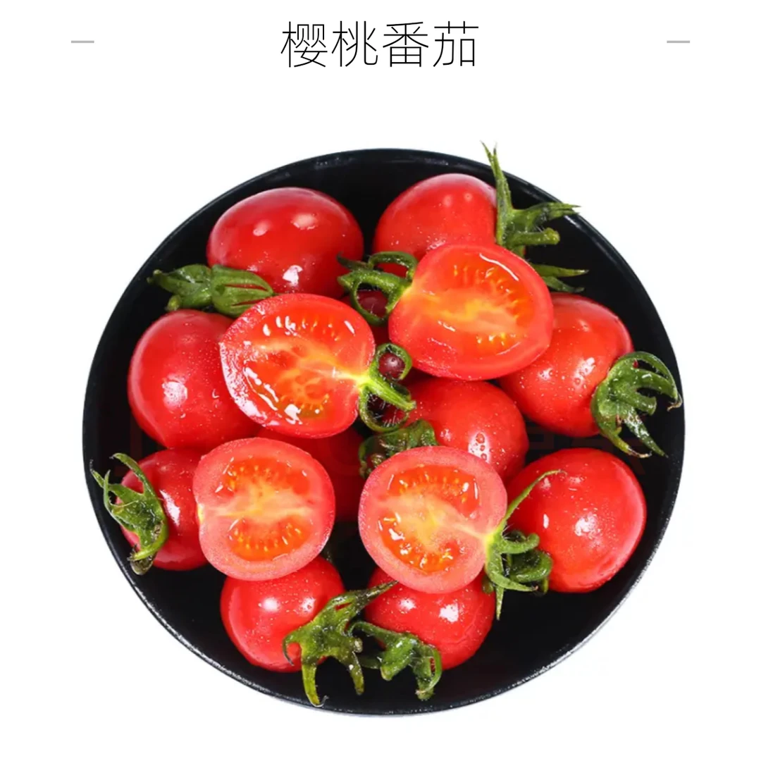 樱桃番茄500g番茄同城配小番茄云南省