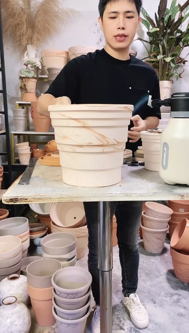 25*23玛奇朵竹节 1盆无托