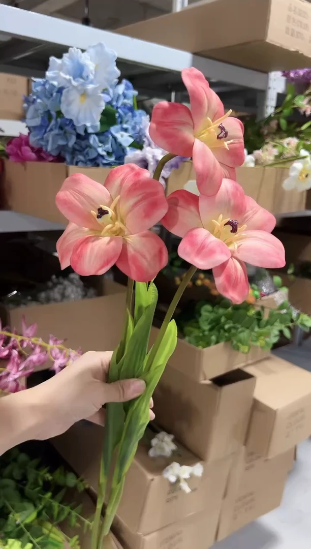 3枝橘粉布朗尼郁金香