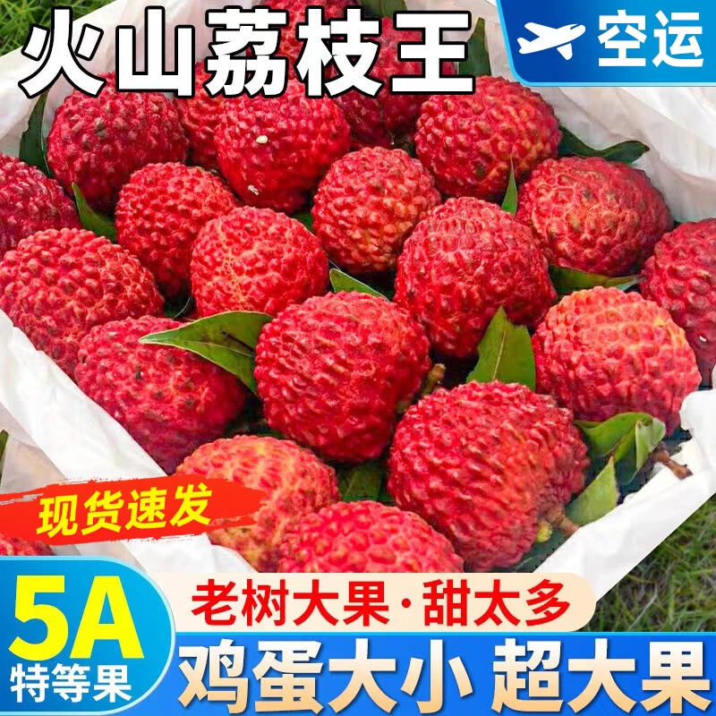 【顺丰京东/空运】海南荔枝王应季新鲜水果采摘直发