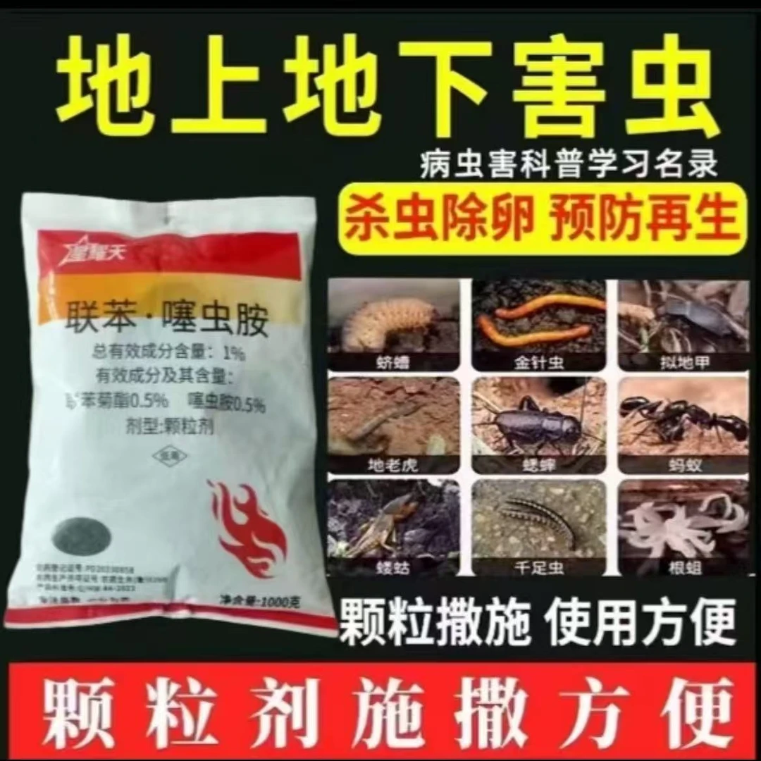 联苯噻虫胺颗粒剂防治地上地下害虫颗粒剂杀虫剂韭菜韭蛆