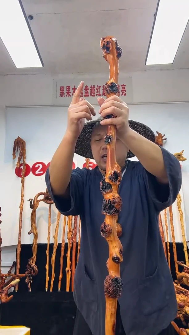 黑果木其他黑果木671