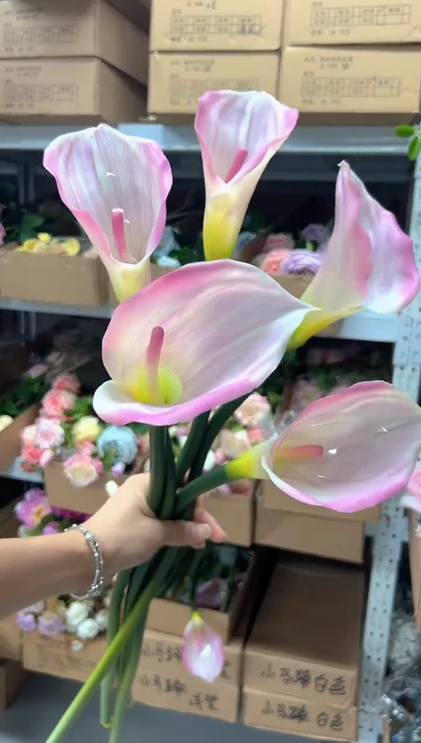 5枝粉色马蹄莲组合